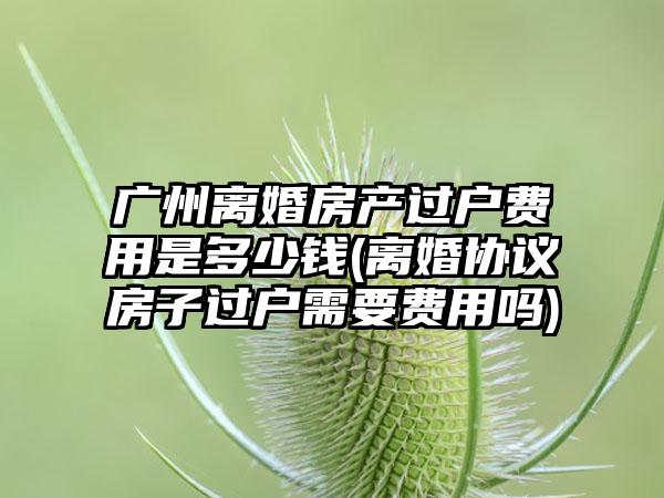 广州离婚房产过户费用是多少钱(离婚协议房子过户需要费用吗)-第1张图片-海印网