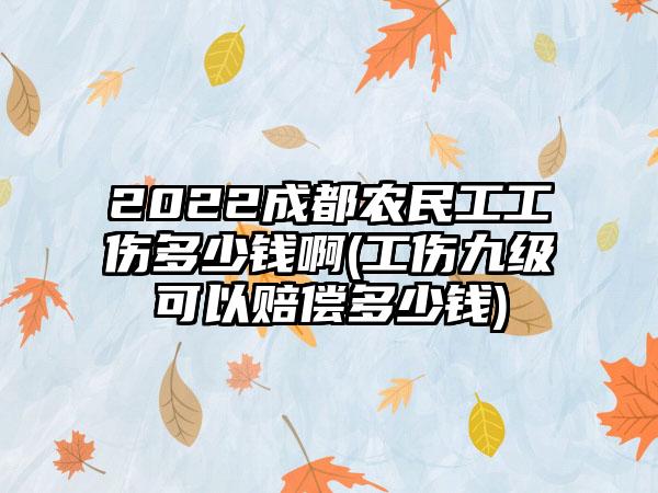 2022成都农民工工伤多少钱啊(工伤九级可以赔偿多少钱)-第1张图片-海印网