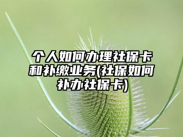 个人如何办理社保卡和补缴业务(社保如何补办社保卡)-第1张图片-海印网