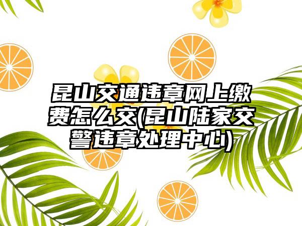 昆山交通违章网上缴费怎么交(昆山陆家交警违章处理中心)-第1张图片-海印网