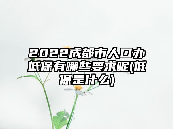 2022成都市人口办低保有哪些要求呢(低保是什么)-第1张图片-海印网