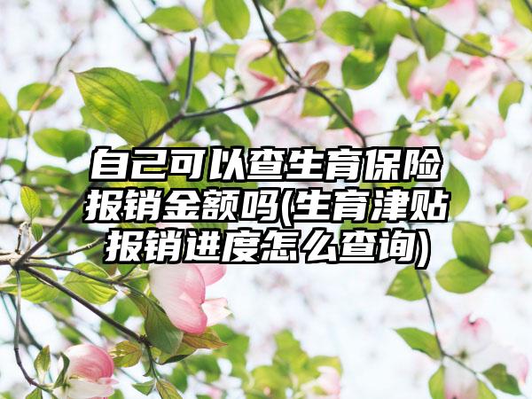 自己可以查生育保险报销金额吗(生育津贴报销进度怎么查询)-第1张图片-海印网