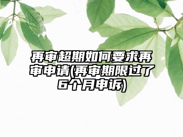 再审超期如何要求再审申请(再审期限过了6个月申诉)-第1张图片-海印网