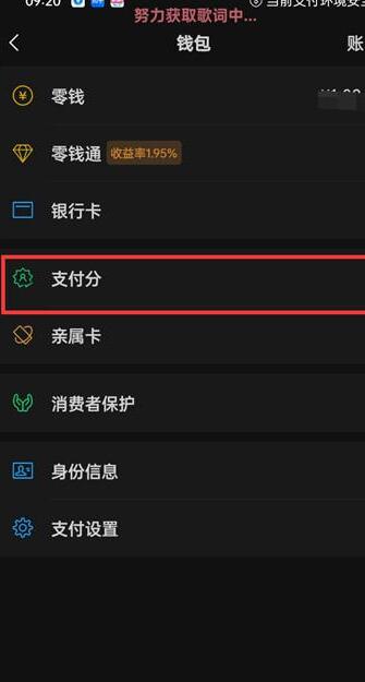 微信怎么开通支付分 开通支付分的方法-第4张图片-海印网