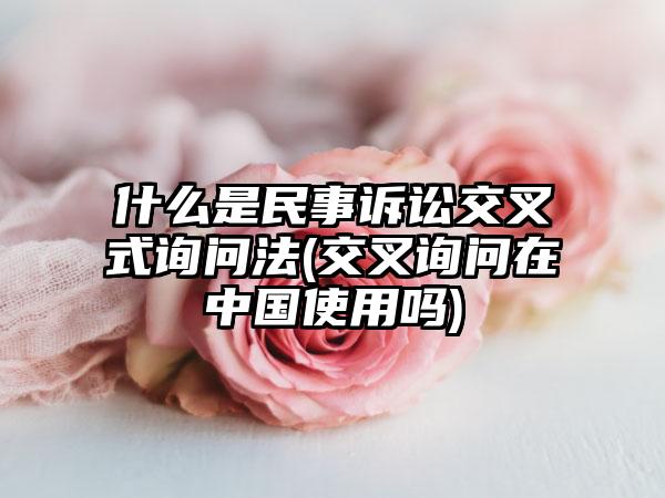 什么是民事诉讼交叉式询问法(交叉询问在中国使用吗)-第1张图片-海印网