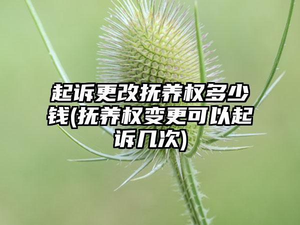 起诉更改抚养权多少钱(抚养权变更可以起诉几次)-第1张图片-海印网