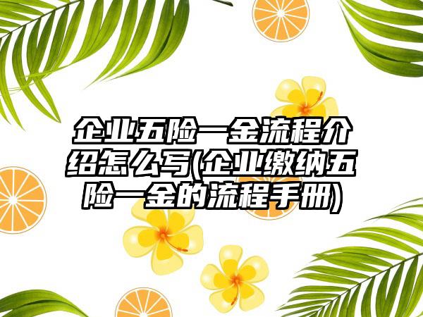 企业五险一金流程介绍怎么写(企业缴纳五险一金的流程手册)-第1张图片-海印网