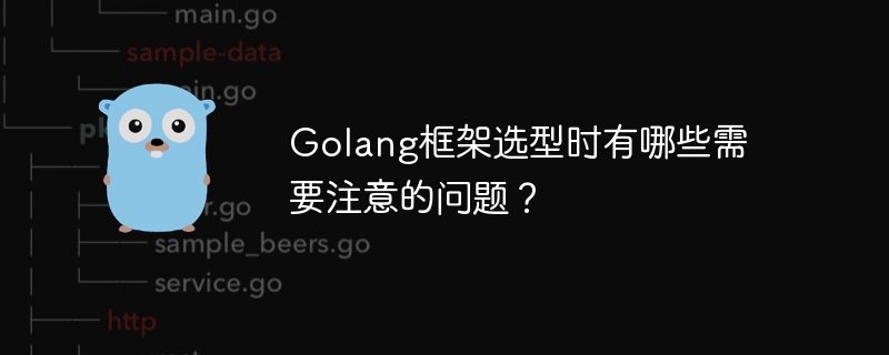 Golang框架选型时有哪些需要注意的问题？-第1张图片-海印网