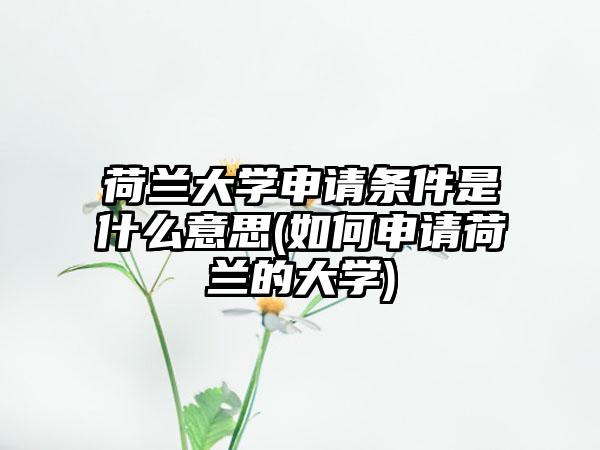 荷兰大学申请条件是什么意思(如何申请荷兰的大学)