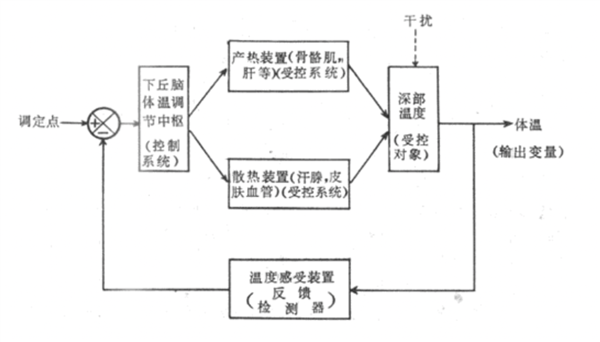 爸妈 最近空调真的要该开就开 不然...-第2张图片-海印网