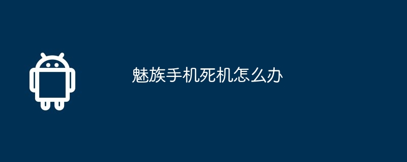 魅族手机死机怎么办