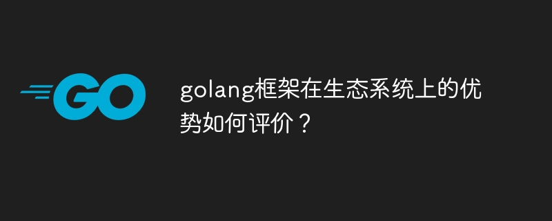 golang框架在生态系统上的优势如何评价？-第1张图片-海印网