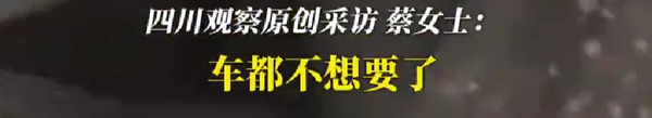 保时捷发霉车主自嘲不想要了：车内遍布霉斑 方向盘都长毛-第3张图片-海印网