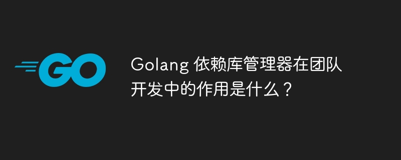 Golang 依赖库管理器在团队开发中的作用是什么？