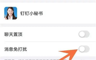 钉钉关闭小秘书消息方法步骤 钉钉怎么关闭小秘书消息-第3张图片-海印网