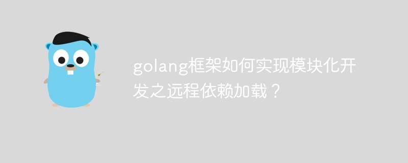 golang框架如何实现模块化开发之远程依赖加载？-第1张图片-海印网