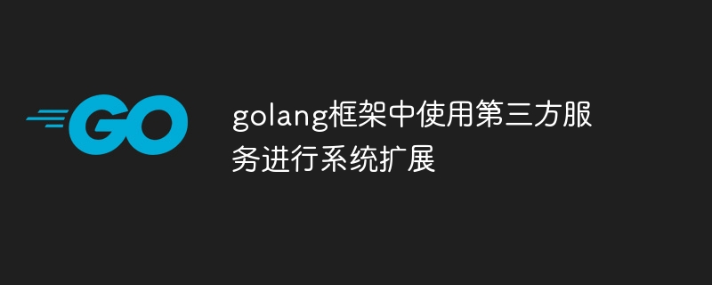 golang框架中使用第三方服务进行系统扩展-第1张图片-海印网