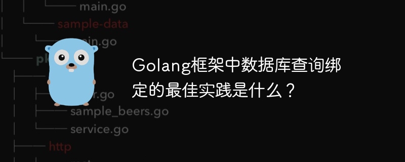 Golang框架中数据库查询绑定的最佳实践是什么？-第1张图片-海印网