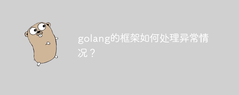 golang的框架如何处理异常情况？-第1张图片-海印网