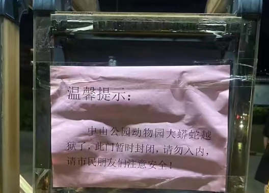 福建一野生动物保护园蟒蛇“越狱”：10多斤重 会缩骨术-第1张图片-海印网