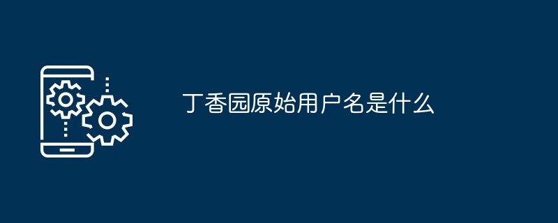 丁香园原始用户名是什么-第1张图片-海印网