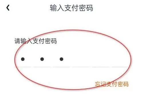 爱奇艺怎么解除钱包锁 爱奇艺解除钱包锁方法介绍-第7张图片-海印网