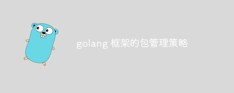 golang 框架的包管理策略-第1张图片-海印网