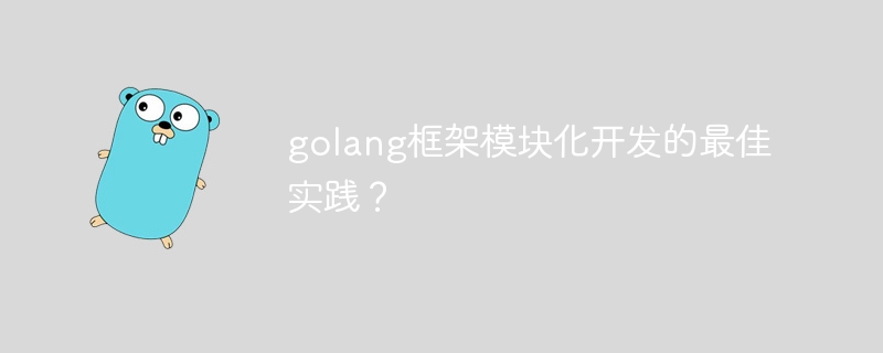 golang框架模块化开发的最佳实践？-第1张图片-海印网