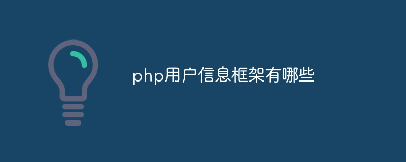 php用户信息框架有哪些-第1张图片-海印网