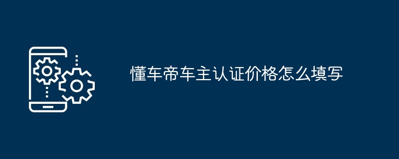 懂车帝车主认证价格怎么填写-第1张图片-海印网