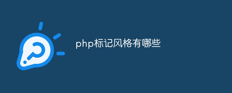 php标记风格有哪些-第1张图片-海印网