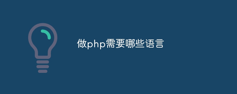 做php需要哪些语言-第1张图片-海印网