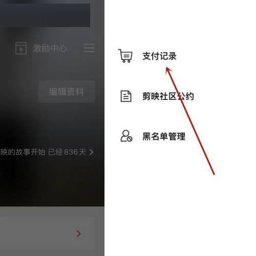 剪映支付记录怎么查看 剪映支付记录查看教程-第3张图片-海印网