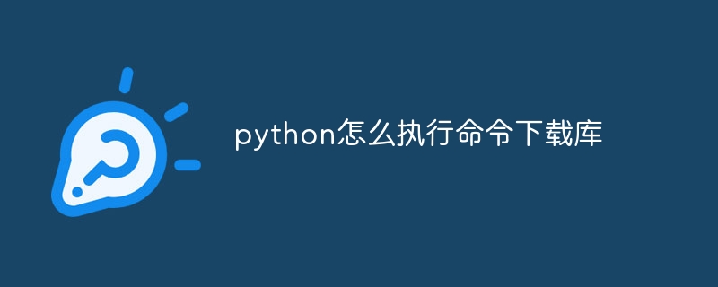 python怎么执行命令下载库-第1张图片-海印网