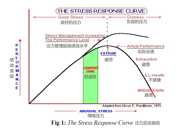 奥运乒乓王楚钦爆冷出局：跟换球拍到底有没有关系？-第4张图片-海印网