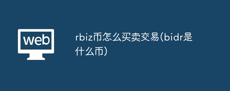 rbiz币怎么买卖交易(bidr是什么币)-第1张图片-海印网