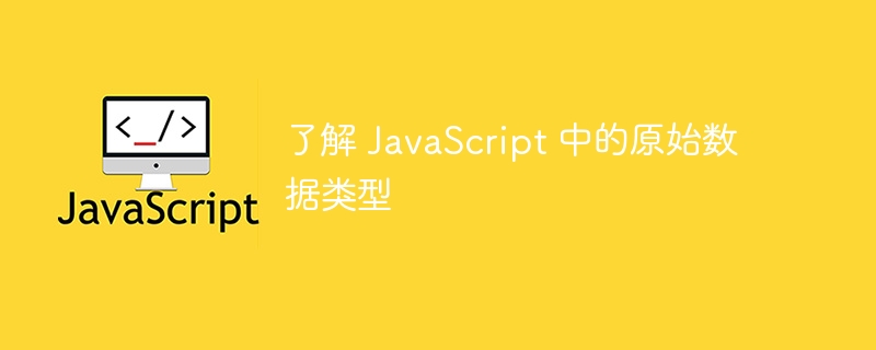 了解 JavaScript 中的原始数据类型