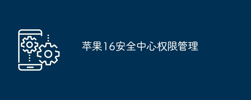 苹果16安全中心权限管理-第1张图片-海印网