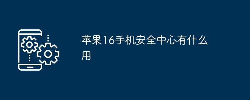 苹果16手机安全中心有什么用-第1张图片-海印网