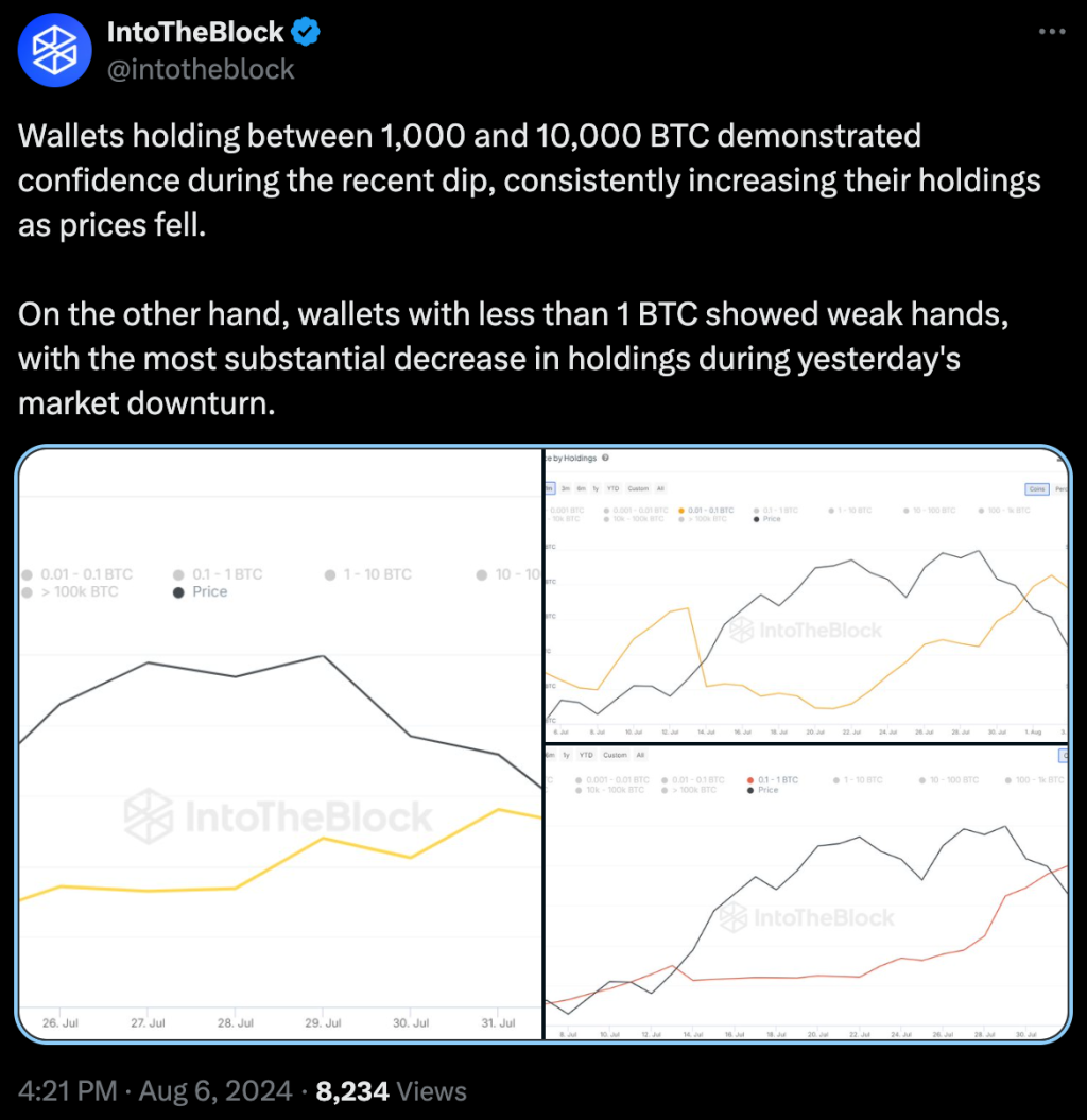 CryptoQuant CEO：有大事正酝酿！TradFi或在Q3报告持有比特币-第3张图片-海印网