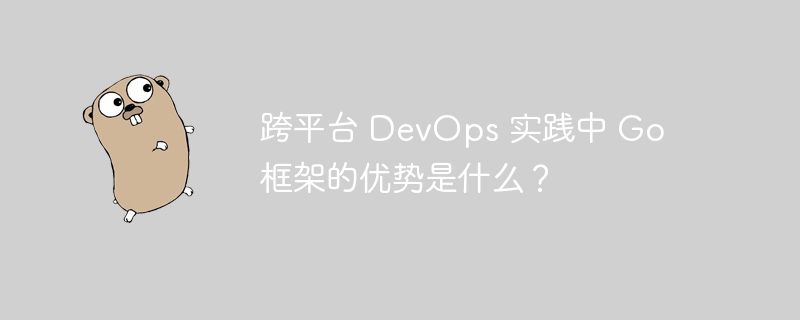 跨平台 DevOps 实践中 Go 框架的优势是什么？-第1张图片-海印网