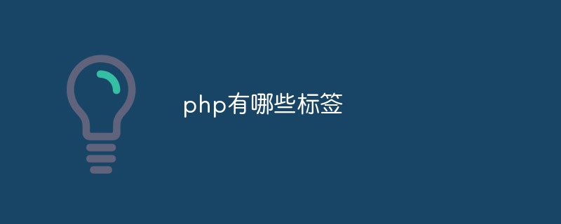 php有哪些标签-第1张图片-海印网