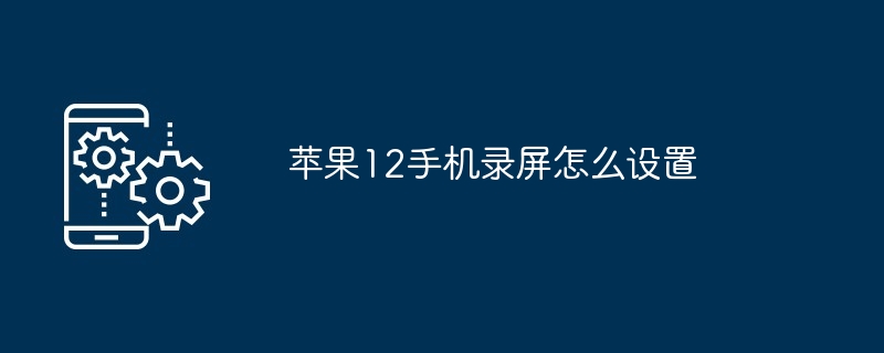 苹果12手机录屏怎么设置-第1张图片-海印网