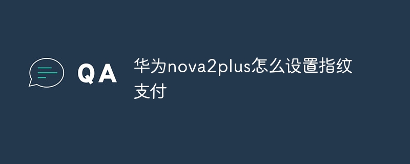 华为nova2plus怎么设置指纹支付-第1张图片-海印网