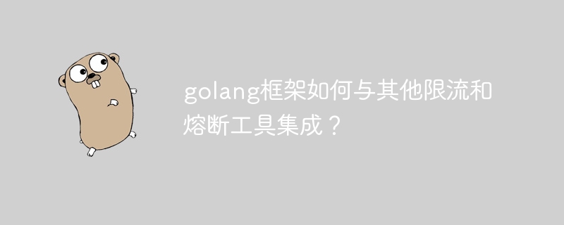 golang框架如何与其他限流和熔断工具集成？-第1张图片-海印网