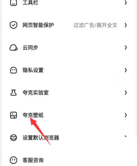 夸克浏览器的夸克壁纸怎么设置 夸克浏览器的夸克壁纸设置方法-第3张图片-海印网