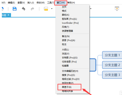 XMind怎样使用黑匣子 XMind使用黑匣子的方法-第3张图片-海印网