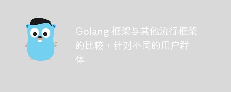 Golang 框架与其他流行框架的比较，针对不同的用户群体-第1张图片-海印网