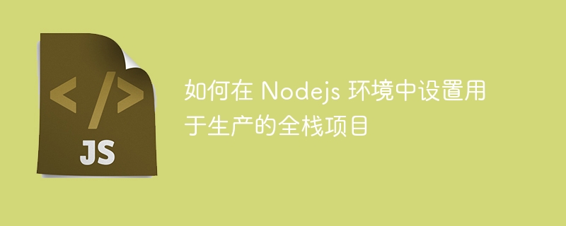 如何在 Nodejs 环境中设置用于生产的全栈项目-第1张图片-海印网