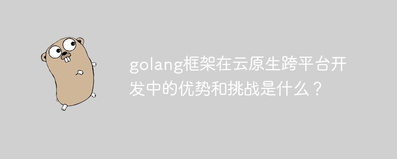 golang框架在云原生跨平台开发中的优势和挑战是什么？-第1张图片-海印网